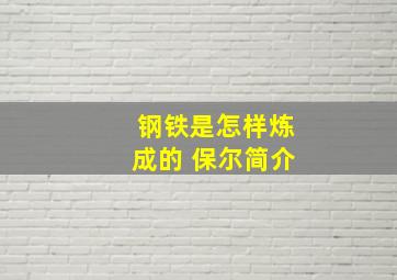 钢铁是怎样炼成的 保尔简介